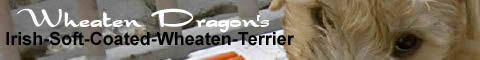 Banner Wheaten Dragons