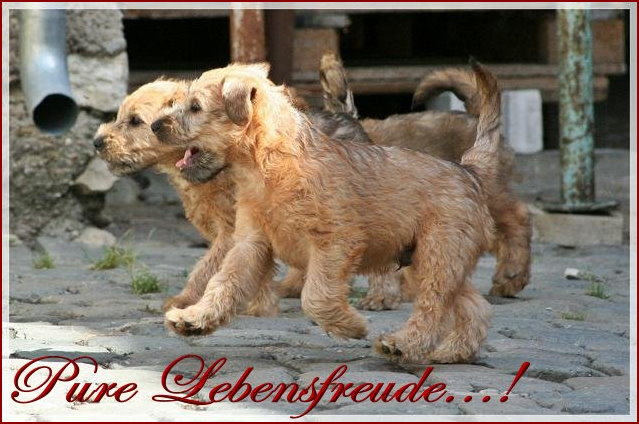 Pure Lebensfreude...